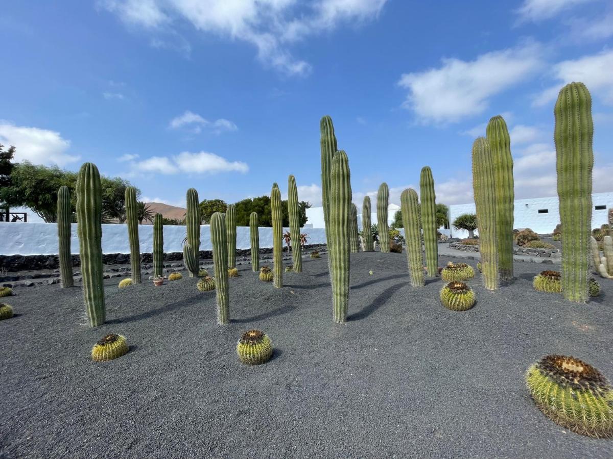 Izaro Apartamento Atico De Lujo Cerca De Playa Dorada Playa Blanca  Extérieur photo